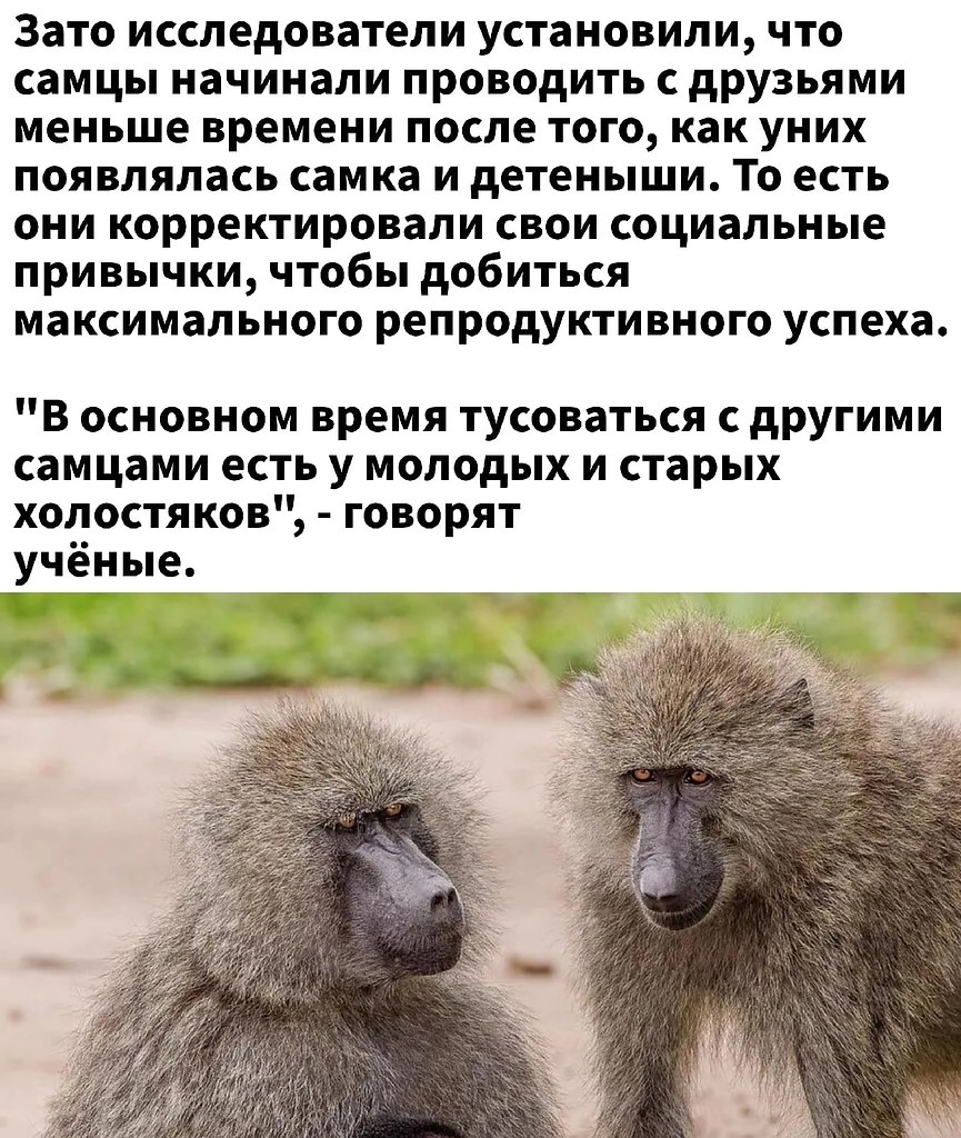      - 3