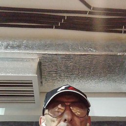 ������, �����������, 61 ���