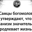 ���� �����, �������, 60 ��� - ��������� 6 ������� 2023 � ������ ������ ��������