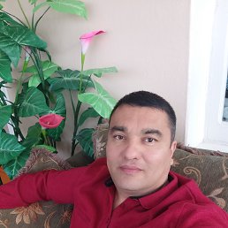 ���� �����, �������, 45 ��� - ��������� 4 ������ 2023