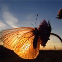 ���� �����, ������ - ��������� 25 ������ 2022 � ������ ������ ��������