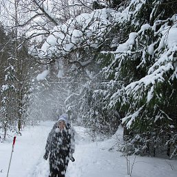 ����� �����, �����, 65 ���