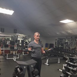 �������, ���������, 41 ���