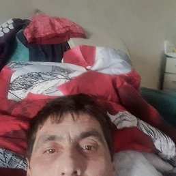 , 51 , 