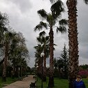 ���� ������, ��������, 65 ��� - ��������� 28 ������ 2022 � ������ ���� ����������