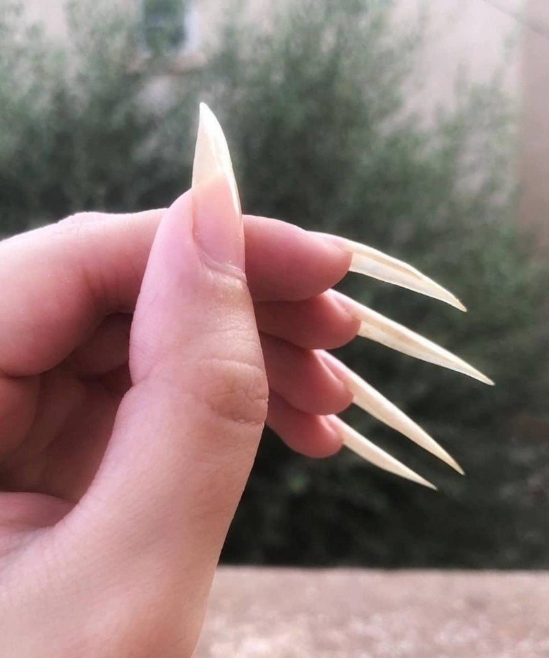    -   ,     .       ... - 3