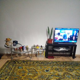 ���� ������, ������, 58 ��� - ��������� 7 ������� 2023