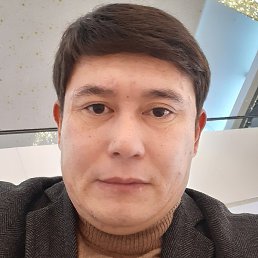 ����, �������, 43 ����