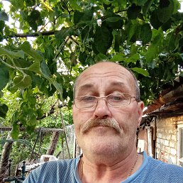 , 62, 
