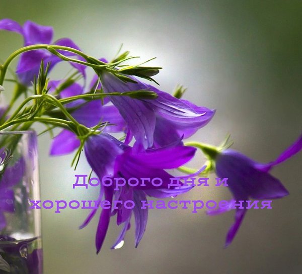   ,    . - 24  2022  20:04