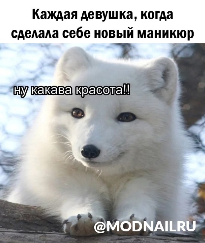  |  - 1  2022  19:08