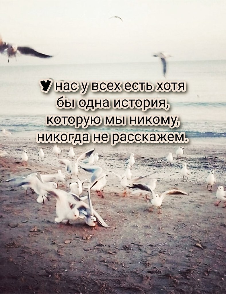   ,    . - 23  2022  20:08 - 2