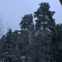 ������ ����� � ������� �� ������� ������� ����� � �������