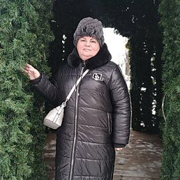 , 53, 