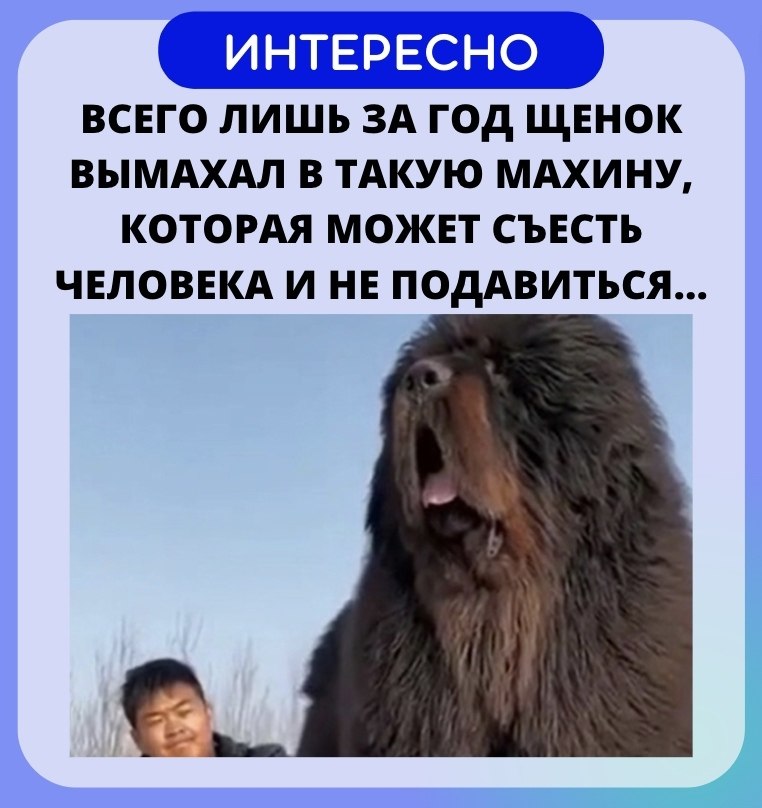   - ! - 19  2022  21:39 - 2