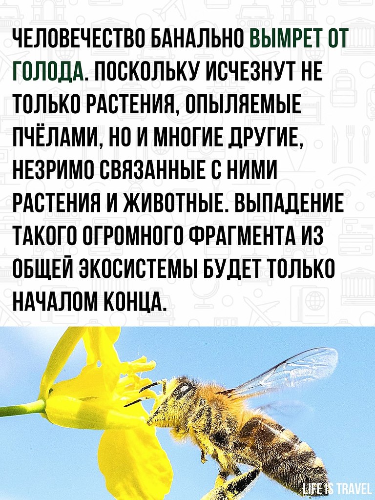    .   ! - 2