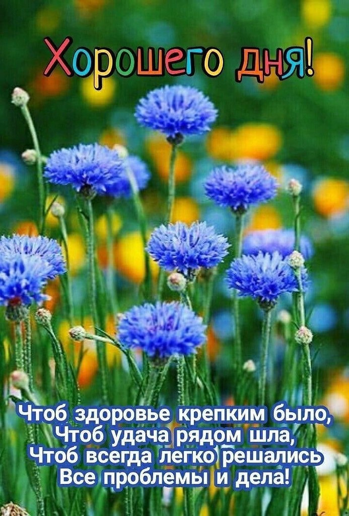  ,    . - 24  2022  19:18 - 3