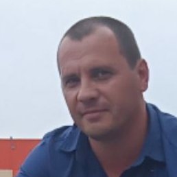 �����, �������, 41 ���