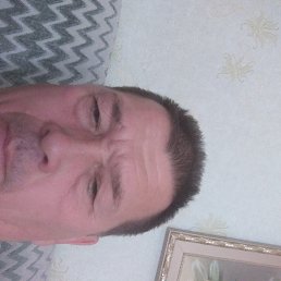  , , 61  -  31  2022