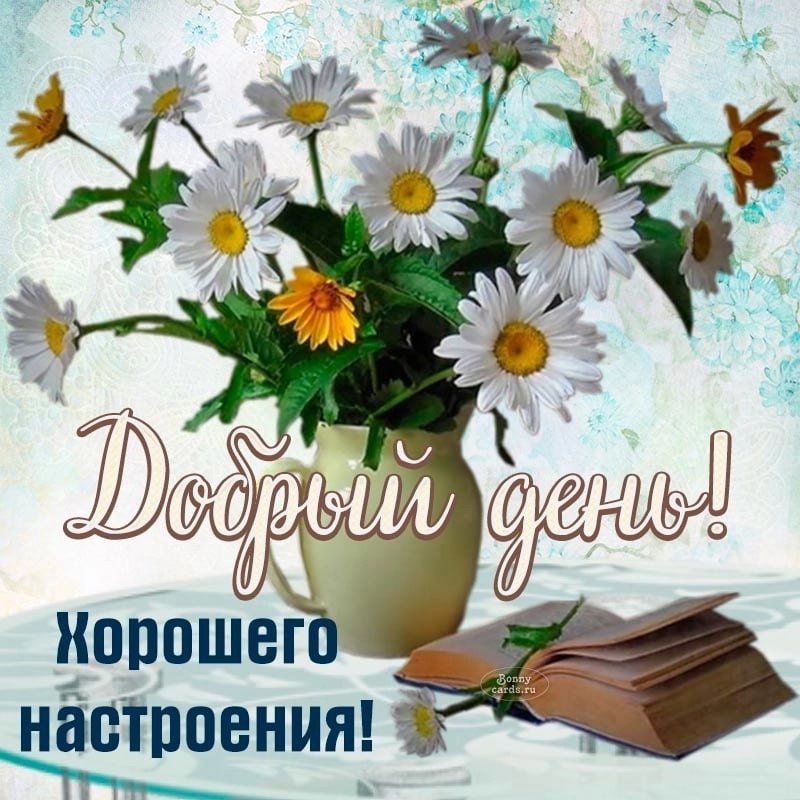 ПРИВЕТСТВИЯ и ПОЖЕЛАНИЯ, открытки на каждый день. - 1 августа 2022 в 20:21