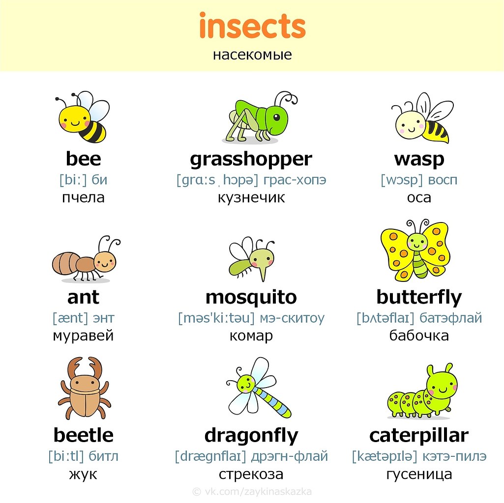   . ap  : , , , , , ... - 5