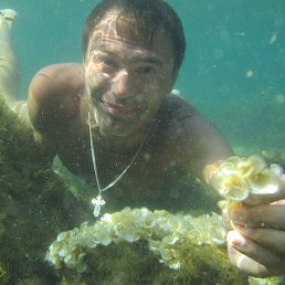 1�, ����, 49 ���