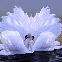 ���� G, �����, 56 ��� - ��������� 13 ������� 2023 � ������ ���� ����������