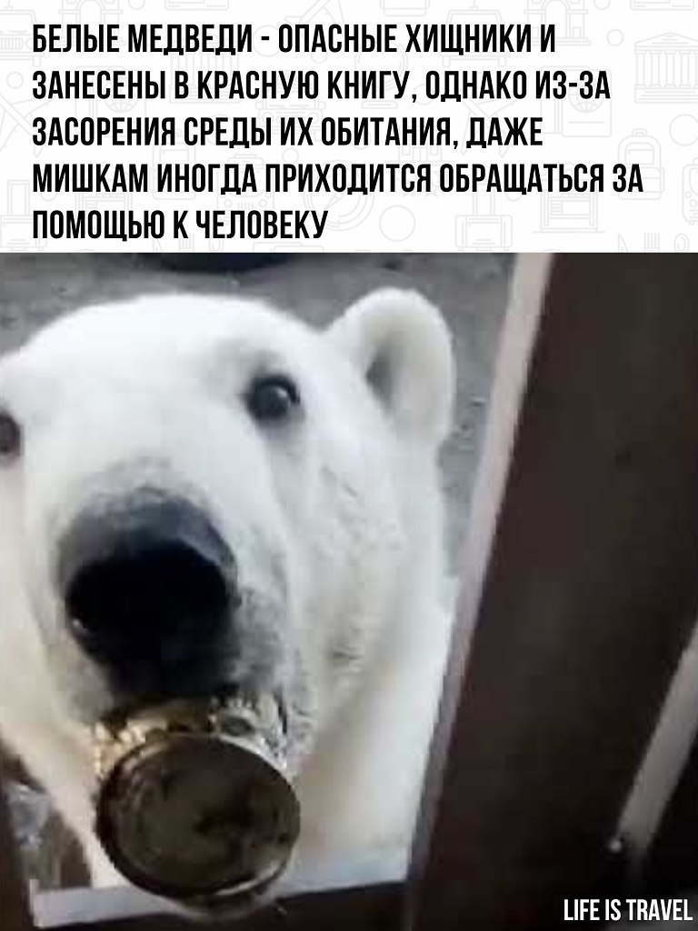       .      ,  ... - 3