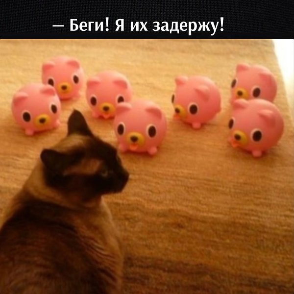      - 11  2023  11:12