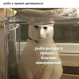  , , 41  -  2  2022