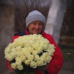 ���� ���������, ���������, 72 ���� - ��������� 9 ������ 2023