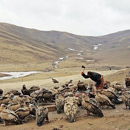 �������, ������, 61 ���