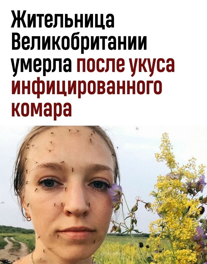 +1   