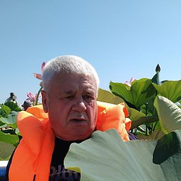 ��������, ������, 67 ���