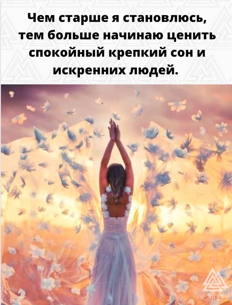  | ,  - 15  2022  06:39