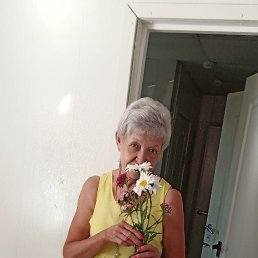 ���� ������, �����, 66 ��� - ��������� 12 �������� 2022