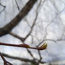 ���� �������, ������ - ��������� 26 ������ 2022 � ������ ���� ����������