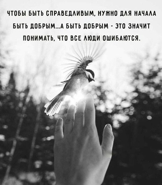   - 23  2022  18:29