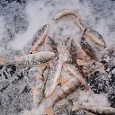 ���� ��������, ����������, 65 ��� - ��������� 25 ������� 2022 � ������ ������ ��������