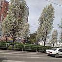 ���� �������, ���������, 63 ���� - ��������� 10 ������ 2022 � ������ ������ ��������