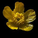 ���� ���������, ������, 50 ��� - ��������� 12 ������ 2023 � ������ ���� ����������