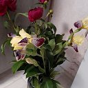 ���� ����������, ����������, 51 ��� - ��������� 22 ���� 2022 � ������ ���� ����������