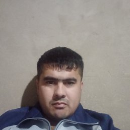 Boxodir, 34, 