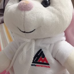 ���� ���, �����, 29 ��� - ��������� 16 ������� 2023