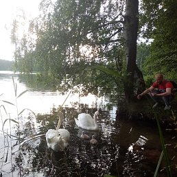 ���� ����, �������, 57 ��� - ��������� 17 ������ 2022