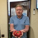 ���� ������, ����������, 37 ��� - ��������� 14 ���� 2022 � ������ ���� ����������