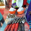 ���� �����, �����-��������� - ��������� 20 ������ 2023 � ������ ���� ����������