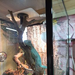 �����, ������������, 37 ���