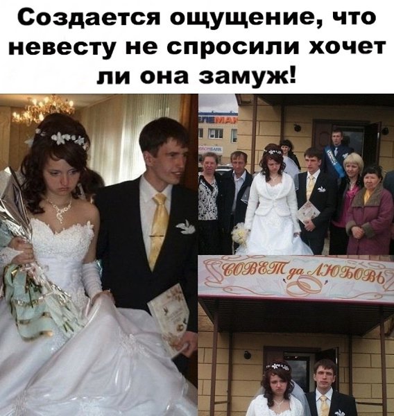   -  ,  -  - 12  2022  10:43