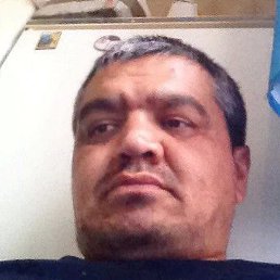, , 44 